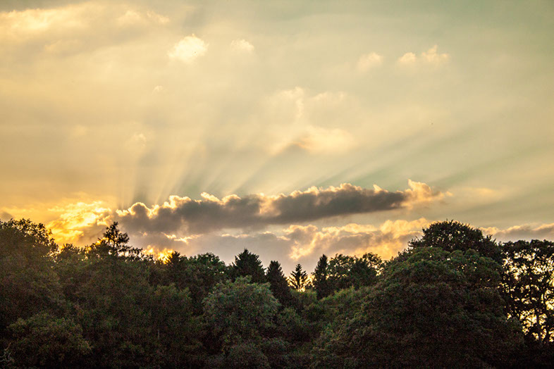 %_tempFileNameIMG_5802%